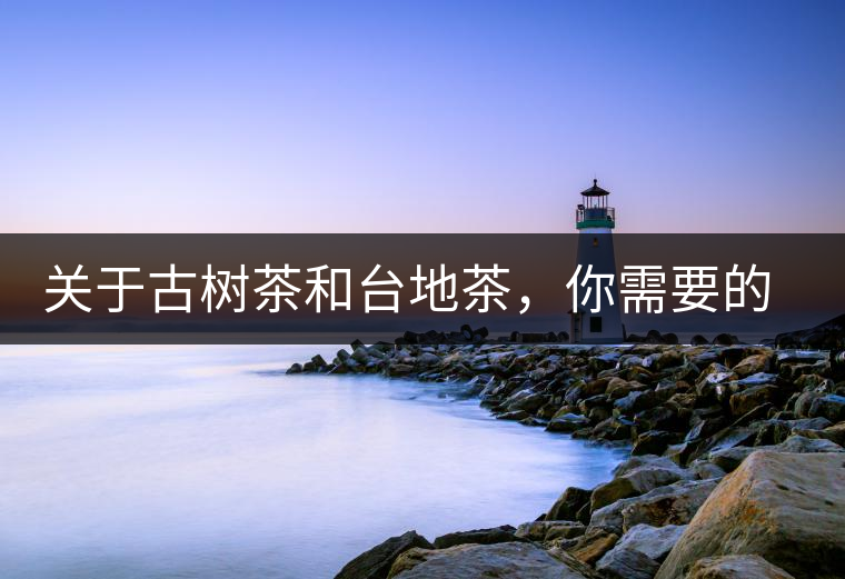 關于古樹茶和臺地茶,你需要的知識全在這里了 關于古樹茶和臺地茶,你需要的知識全在這里了