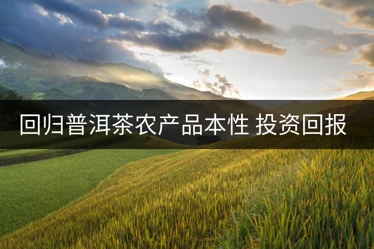 回歸普洱茶農(nóng)產(chǎn)品本性 投資回報(bào)率“馬上合乎心意”