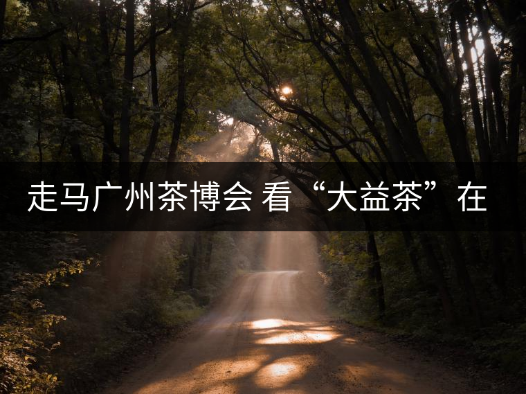 走馬廣州茶博會 看“大益茶”在傳承與創新中發展