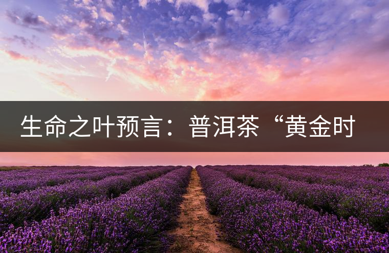 生命之葉預言:普洱茶“黃金時代”即將再度來臨 生命之葉預言:普洱茶“黃金時代”即將再度來臨