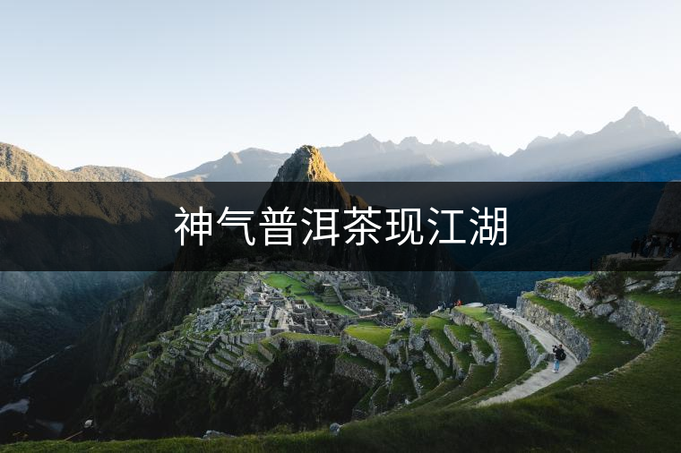 神氣普洱茶現江湖