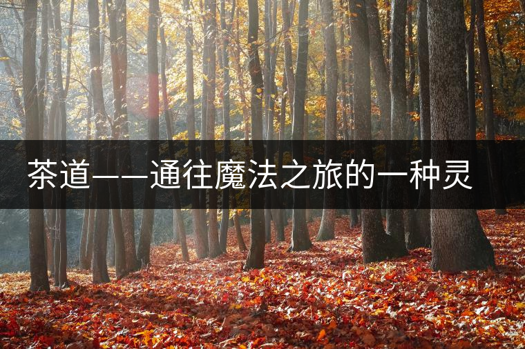 茶道——通往魔法之旅的一種靈魂