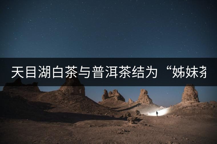 天目湖白茶與普洱茶結為“姊妹茶” 天目湖白茶與普洱茶結為“姊妹茶”