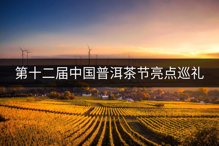 第十二屆中國普洱茶節亮點巡禮 第十二屆中國普洱茶節亮點巡禮