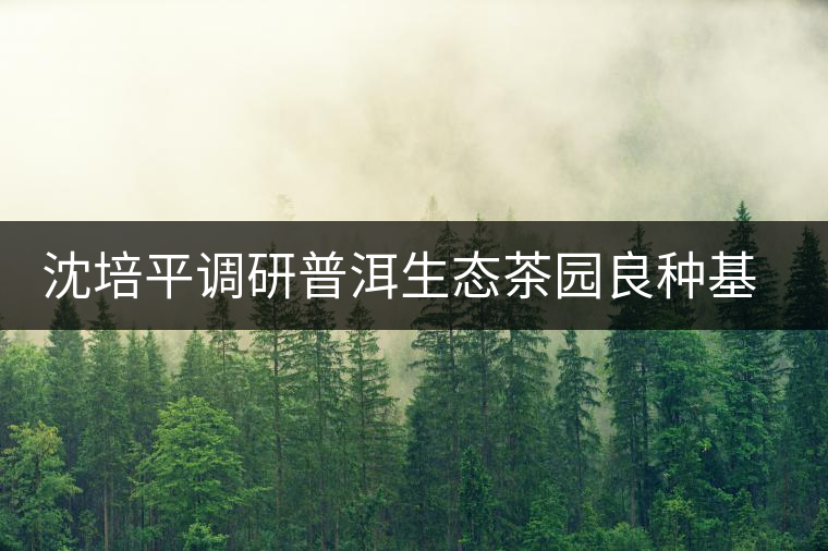 沈培平調研普洱生態茶園良種基地