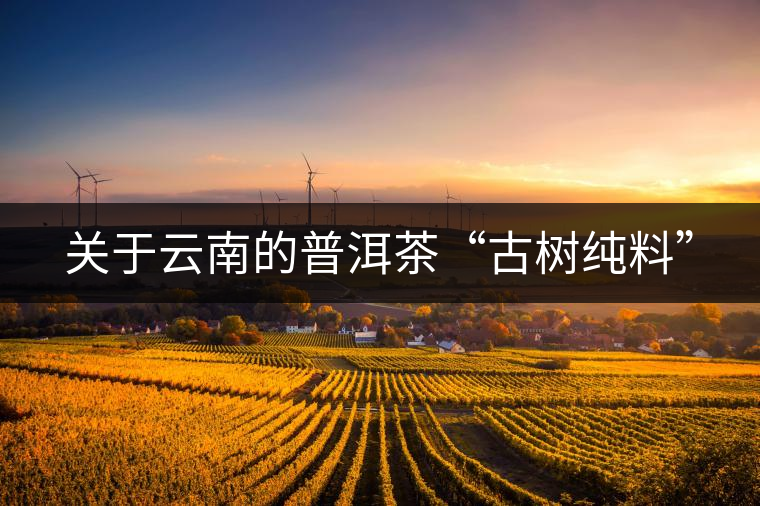 關于云南的普洱茶“古樹純料”