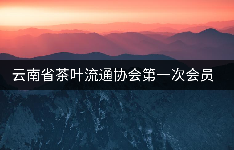 云南省茶葉流通協會第一次會員代表大會在康樂茶文化城召開