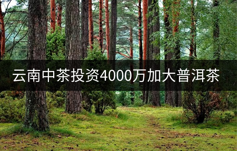 云南中茶投資4000萬加大普洱茶生產能力 云南中茶投資4000萬加大普洱茶生產能力