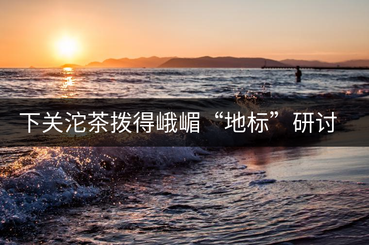 下關沱茶撥得峨嵋“地標”研討會頭籌