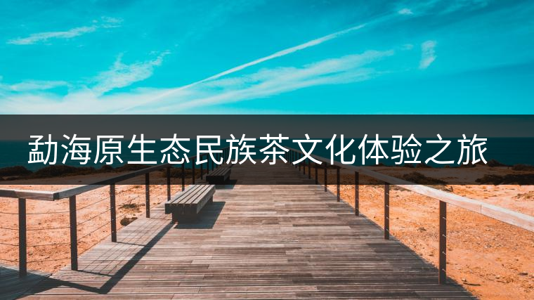 勐海原生態民族茶文化體驗之旅拉開序幕 勐海原生態民族茶文化體驗之旅拉開序幕