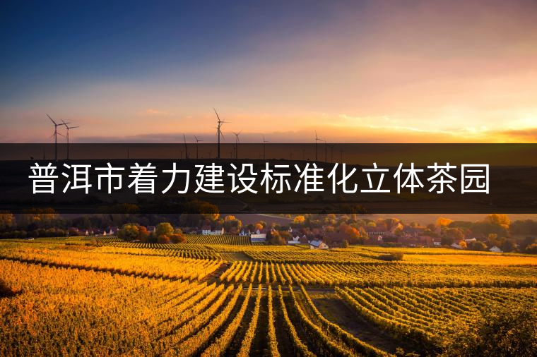 普洱市著力建設標準化立體茶園示范區 普洱市著力建設標準化立體茶園示范區