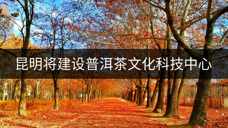 昆明將建設普洱茶文化科技中心