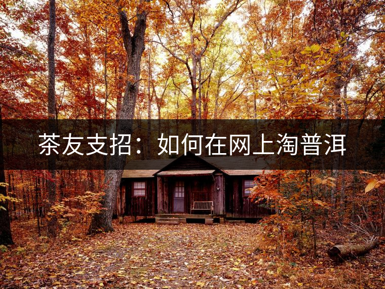 茶友支招:如何在網(wǎng)上淘普洱 茶友支招:如何在網(wǎng)上淘普洱