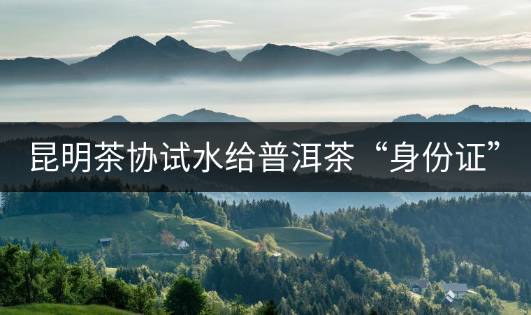 昆明茶協試水給普洱茶“身份證” 昆明茶協試水給普洱茶“身份證”
