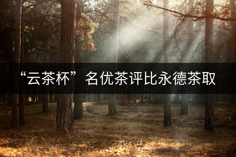 “云茶杯”名優茶評比永德茶取得豐碩成果 “云茶杯”名優茶評比永德茶取得豐碩成果