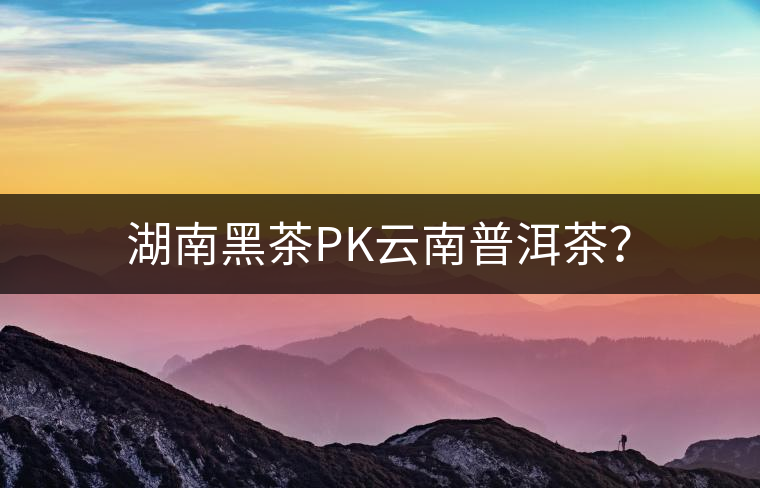 湖南黑茶PK云南普洱茶？