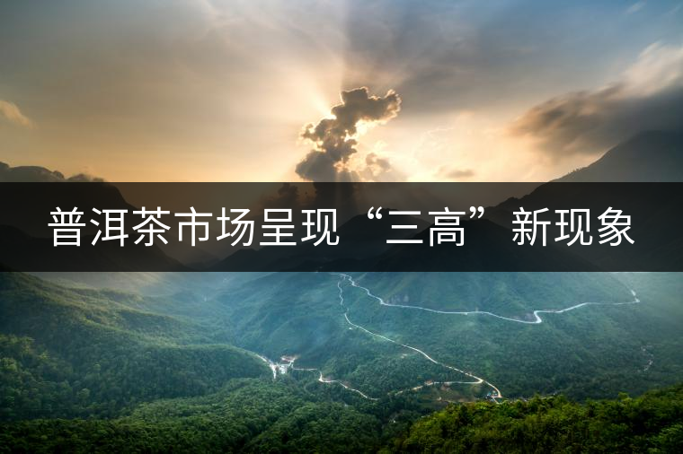 普洱茶市場呈現“三高”新現象 普洱茶市場呈現“三高”新現象