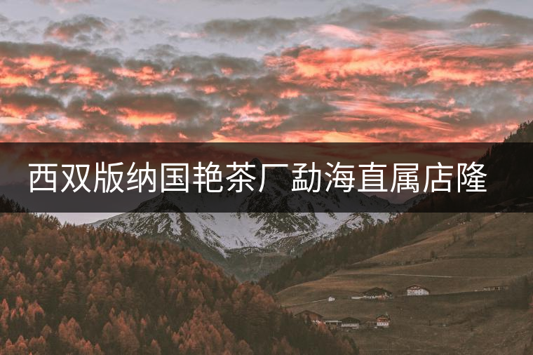 西雙版納國艷茶廠勐海直屬店隆重開業 西雙版納國艷茶廠勐海直屬店隆重開業