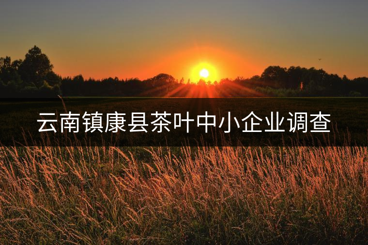 云南鎮康縣茶葉中小企業調查