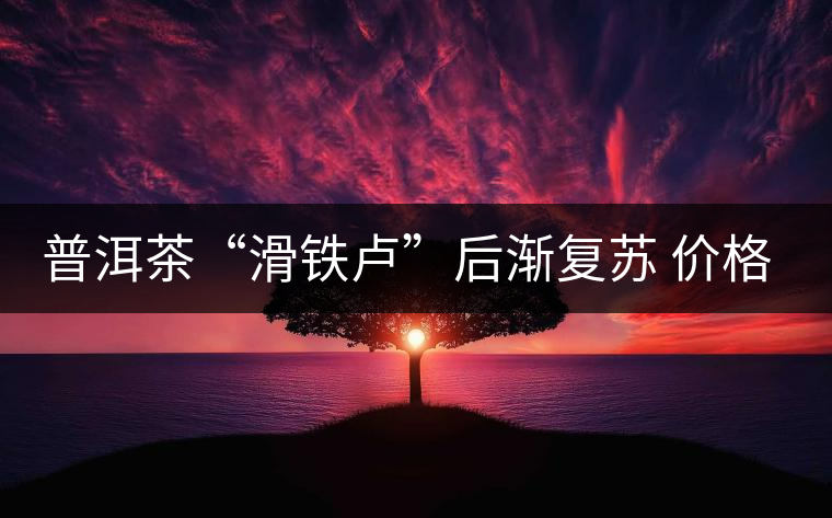 普洱茶“滑鐵盧”后漸復蘇 價格普漲兩三成