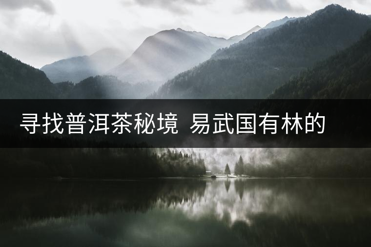 尋找普洱茶秘境  易武國有林的追逐戰