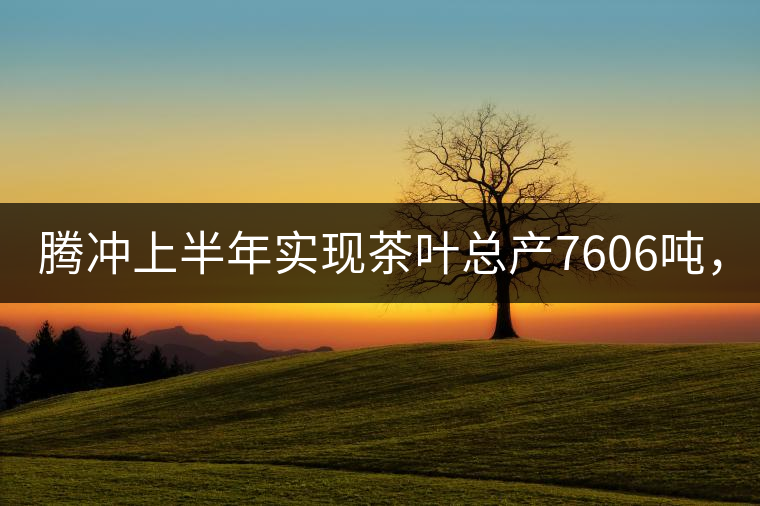 騰沖上半年實現茶葉總產7606噸,總產值5.58億元 騰沖上半年實現茶葉總產7606噸,總產值5.58億元