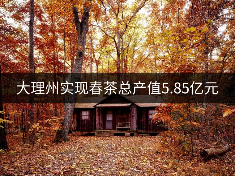 大理州實現春茶總產值5.85億元