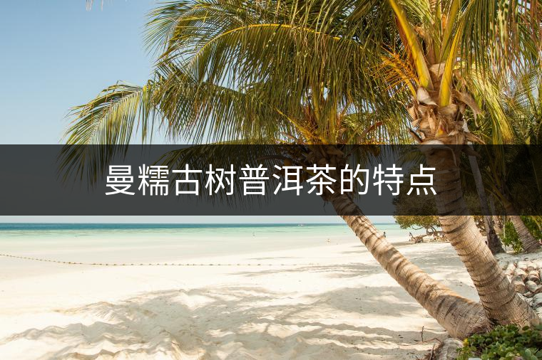 曼糯古樹普洱茶的特點 曼糯古樹普洱茶的特點