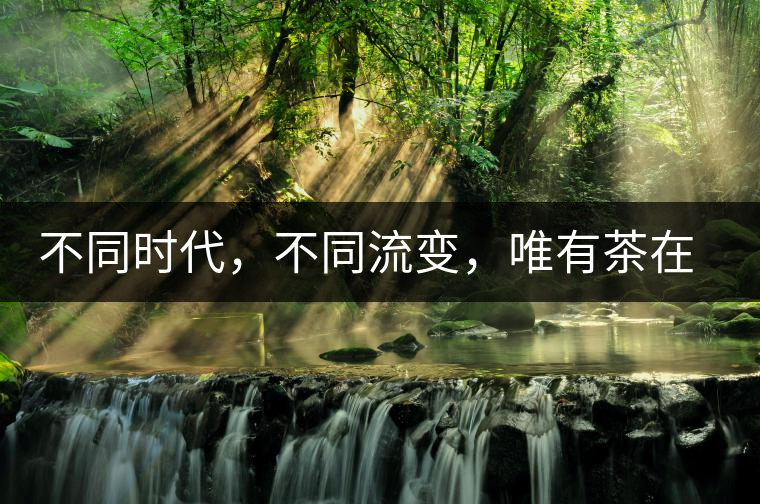 不同時代,不同流變,唯有茶在傳承 不同時代,不同流變,唯有茶在傳承