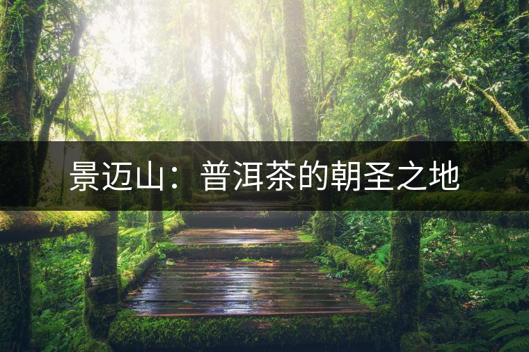 景邁山:普洱茶的朝圣之地 景邁山:普洱茶的朝圣之地