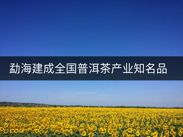 勐海建成全國普洱茶產業知名品牌創建示范區 勐海建成全國普洱茶產業知名品牌創建示范區