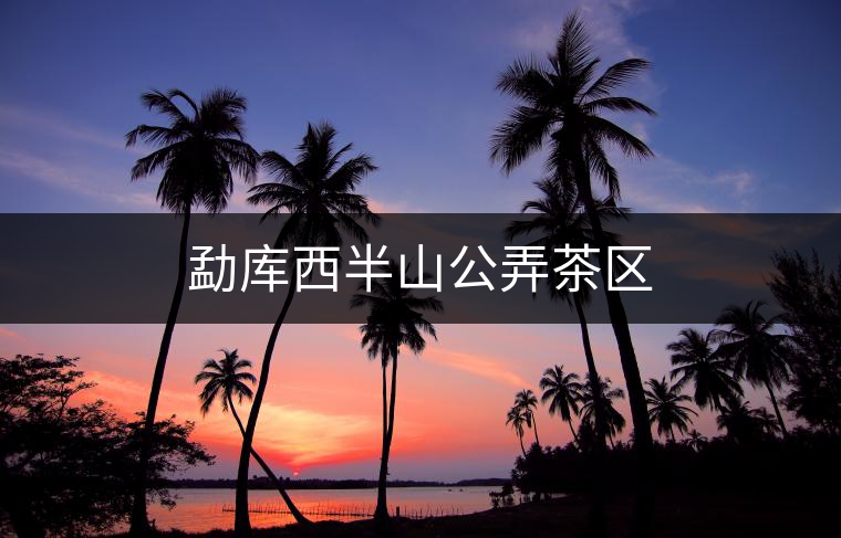 勐庫西半山公弄茶區 勐庫西半山公弄茶區