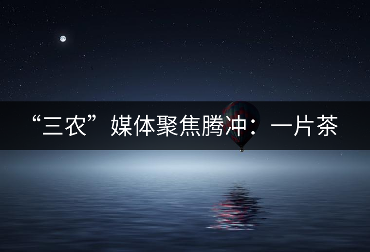 “三農”媒體聚焦騰沖:一片茶葉寫就脫貧及茶葉品牌的塑造 “三農”媒體聚焦騰沖:一片茶葉寫就脫貧及茶葉品牌的塑造