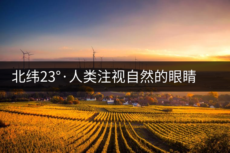 北緯23°·人類注視自然的眼睛——探訪中科院哀牢山生態站 北緯23°·人類注視自然的眼睛——探訪中科院哀牢山生態站