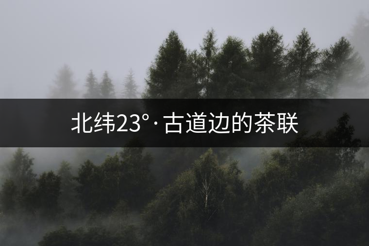北緯23°·古道邊的茶聯 北緯23°·古道邊的茶聯