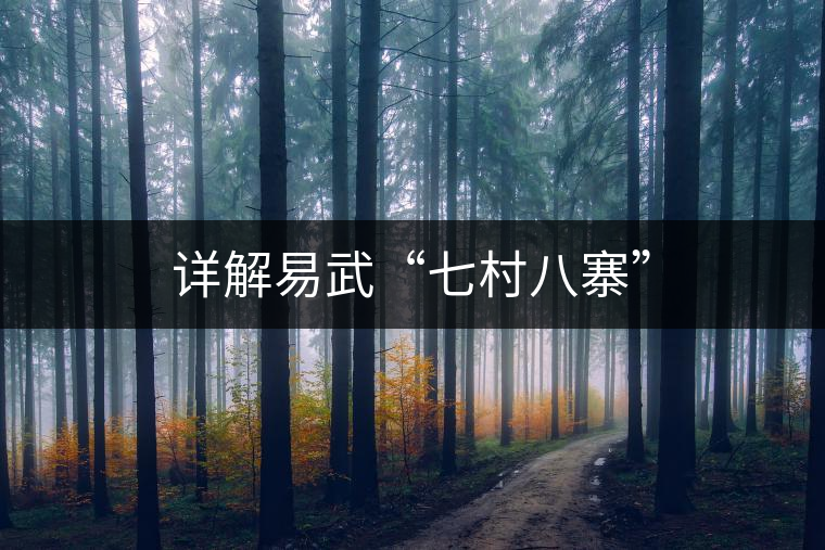 詳解易武“七村八寨” 詳解易武“七村八寨”
