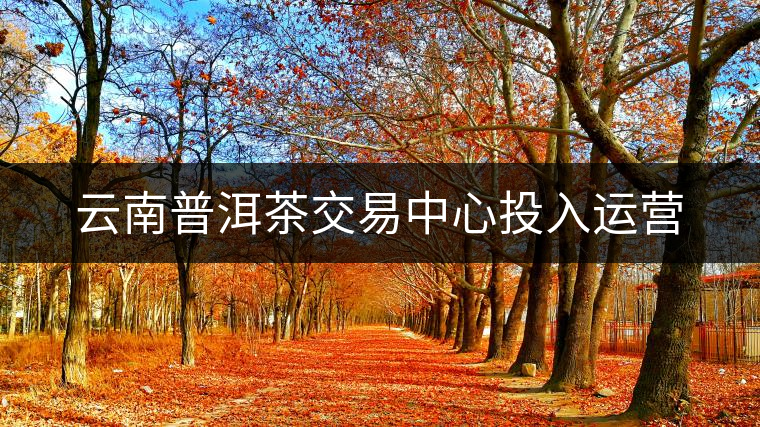 云南普洱茶交易中心投入運營 云南普洱茶交易中心投入運營