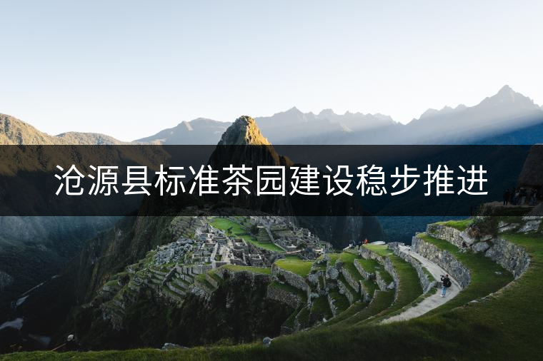 滄源縣標準茶園建設穩步推進 滄源縣標準茶園建設穩步推進