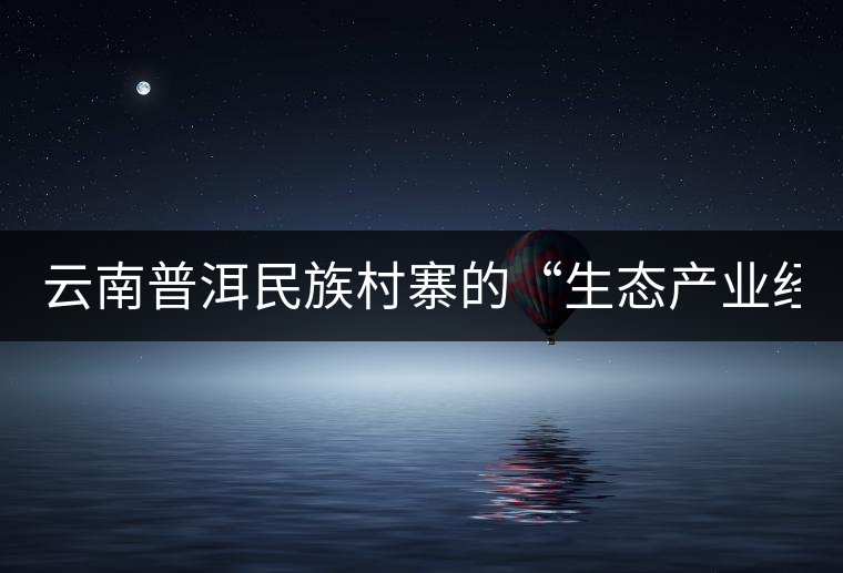 云南普洱民族村寨的“生態產業經”