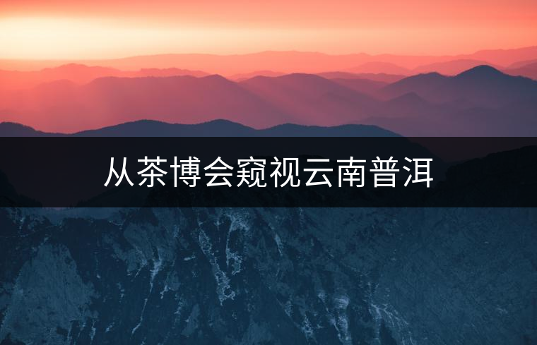 從茶博會(huì)窺視云南普洱 從茶博會(huì)窺視云南普洱