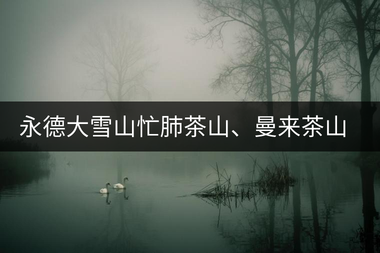 永德大雪山忙肺茶山、曼來茶山、放牛場茶園的生態指數 永德大雪山忙肺茶山、曼來茶山、放牛場茶園的生態指數