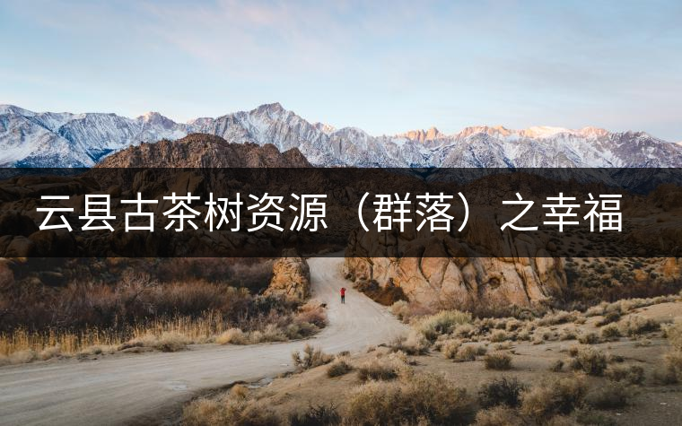 云縣古茶樹資源(群落)之幸福鎮大宗山 云縣古茶樹資源(群落)之幸福鎮大宗山