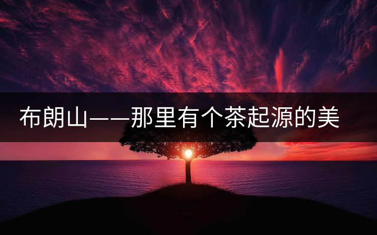 布朗山——那里有個茶起源的美麗傳說