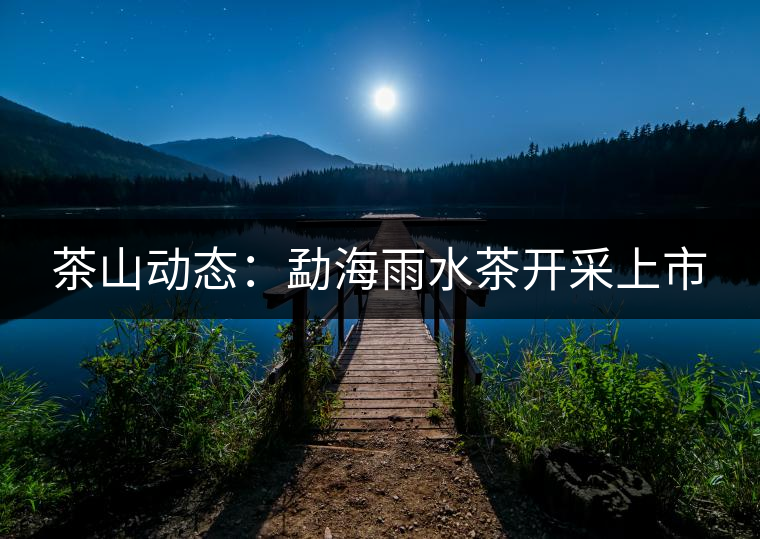 茶山動態：勐海雨水茶開采上市