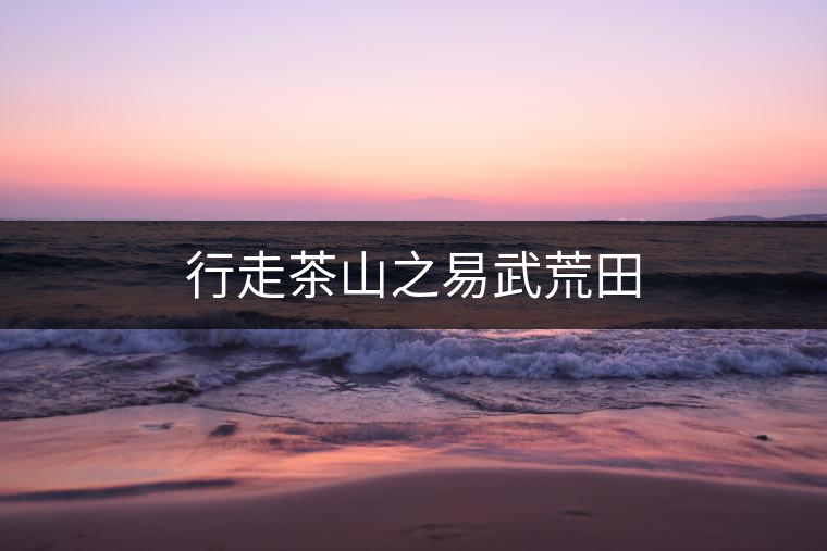 行走茶山之易武荒田 行走茶山之易武荒田