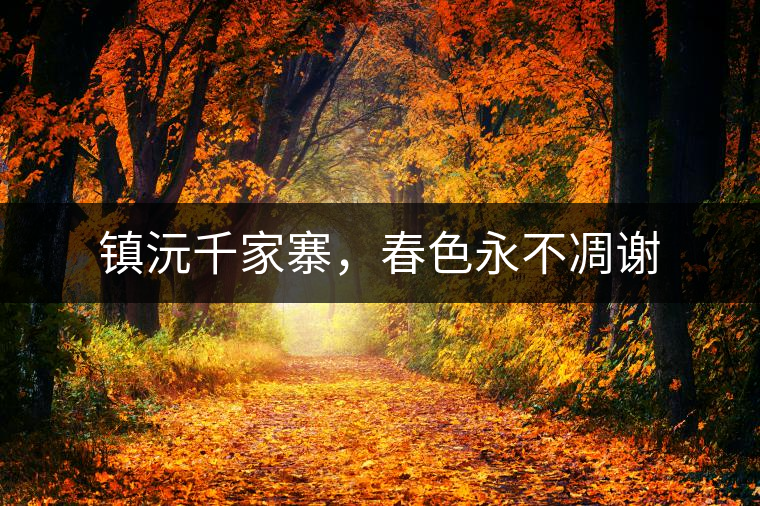 鎮沅千家寨,春色永不凋謝 鎮沅千家寨,春色永不凋謝