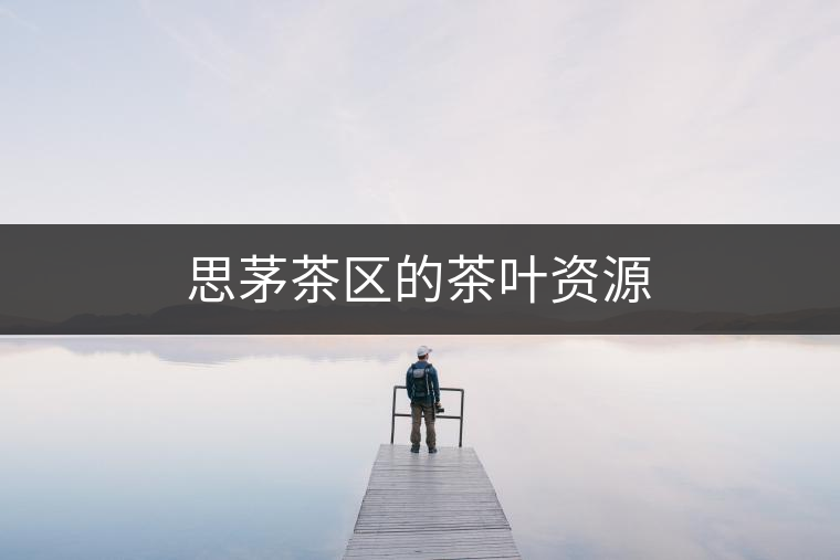 思茅茶區的茶葉資源 思茅茶區的茶葉資源
