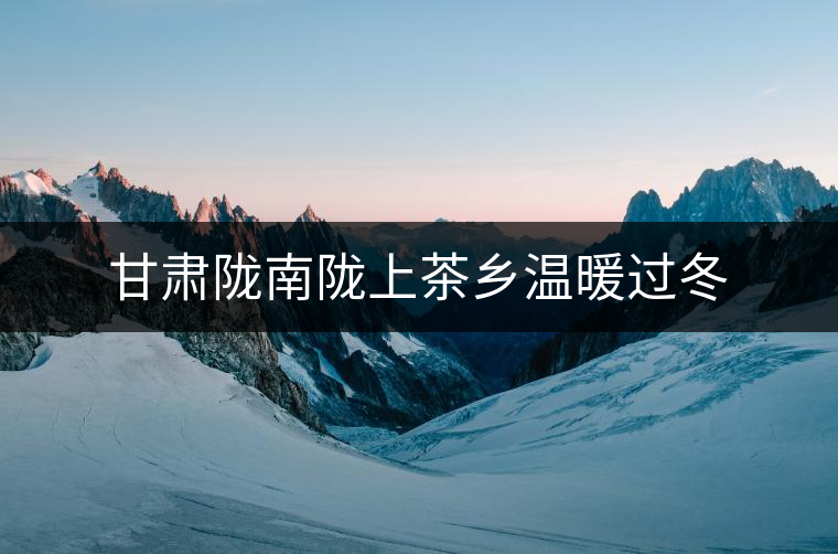 甘肅隴南隴上茶鄉溫暖過冬 甘肅隴南隴上茶鄉溫暖過冬