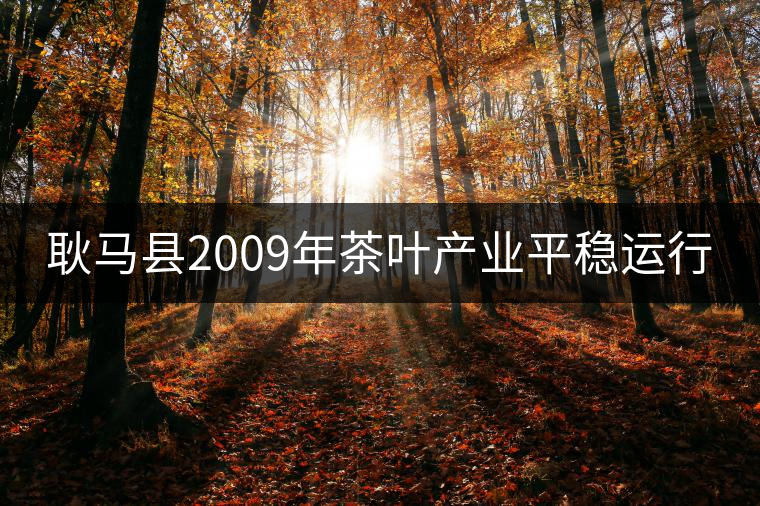 耿馬縣2009年茶葉產業平穩運行