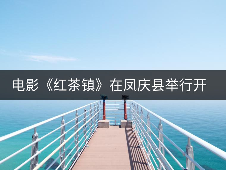 電影《紅茶鎮》在鳳慶縣舉行開機儀式